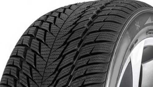 Pneumatico FORTUNA WINTER SUV