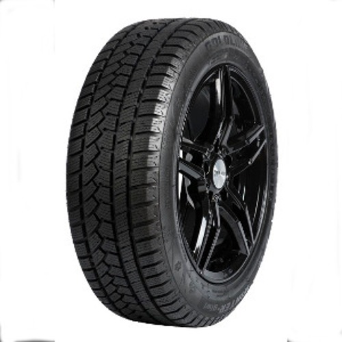 Pneumatico GOLDLINE WINTER-GLW1 M+S 3PMSF