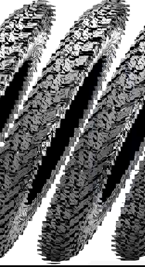 Pneumatico MAXXIS LIBERTY ML-3