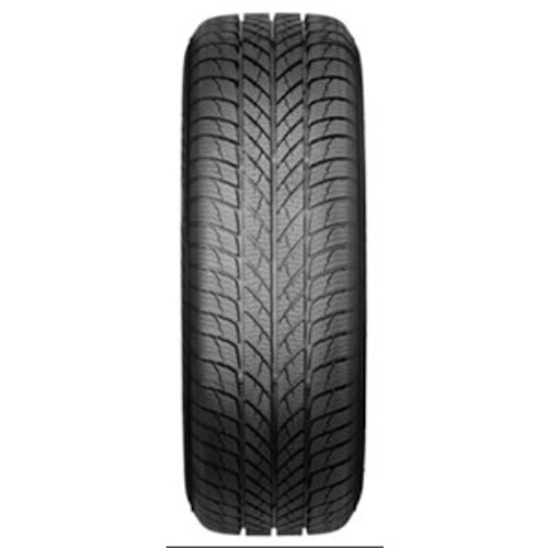 Pneumatico PAXARO INVERNO XL FR