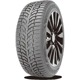 Foto pneumatico: DOUBLESTAR, WINTERKING DW08 BSW M+S 3PMSF 225/55 R1717 97T Invernali